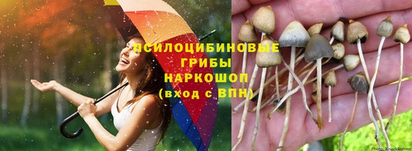 героин Карпинск